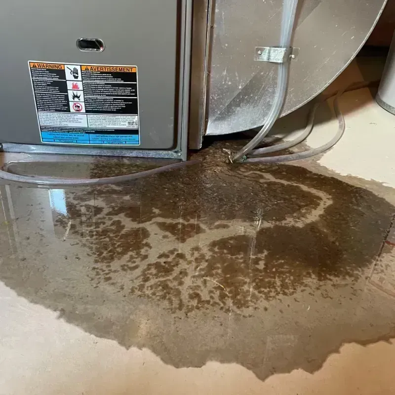 Appliance Leak Cleanup in Putnam County, OH